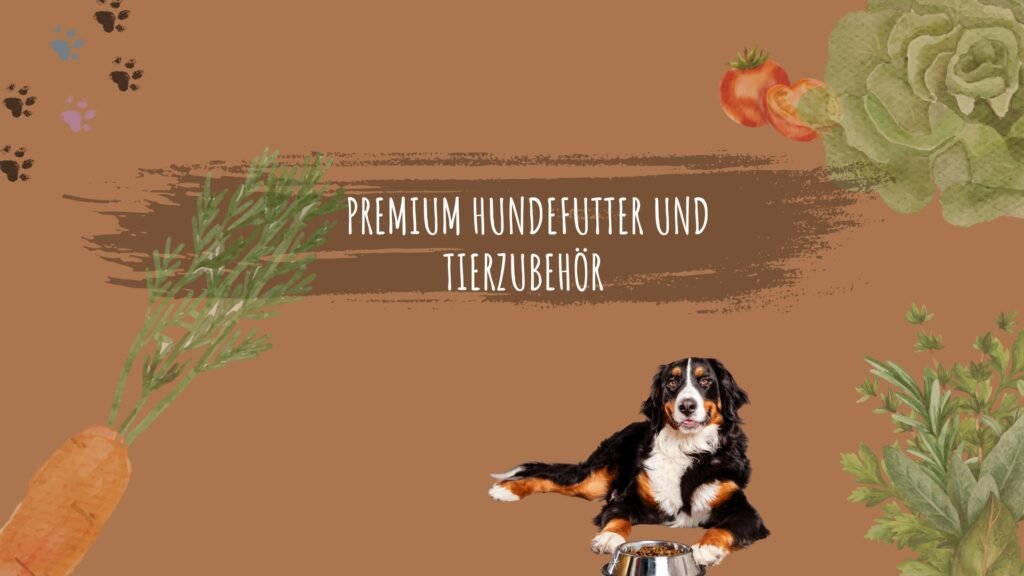 Online Marketing Case Study für Händler